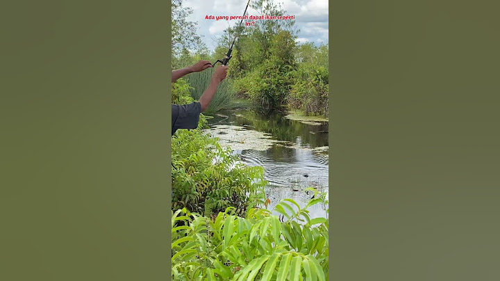 FISHING IN A BLACK WATER RIVER MAKES THE DEEPEST GUYS THINK THEY'VE GOT A TOMAN😅 #125 #bocahpecic...
