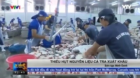 Thiếu hụt nguyên liệu cá tra xuất khẩu - Nguồn VTV