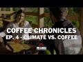 Climate Change vs. Coffee: The Shocking Truth