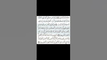 سورة القصص | آية ٧٤ إلى ٧٦ | #راحة_نفسية #القرآن_الكريم