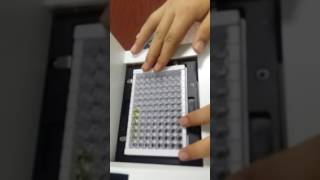 E8 Elisa reader operation video