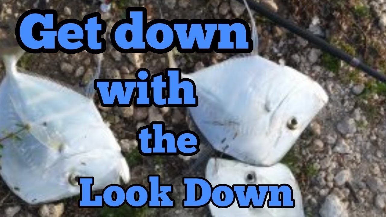 snapper fishing texas Get Down with the Look Down- Snapper, Black Drum & FWC