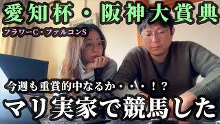 愛知杯、阪神大賞典までの5日間。マリ実家で競馬した週末