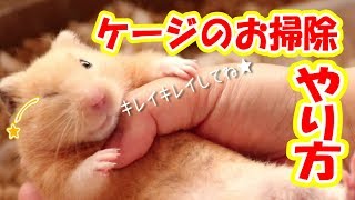 ハムスターのおうち掃除★やり方を紹介！ 日常の音 ほんの少しだけ声あり