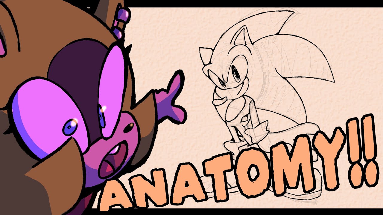 HOW TO DRAW SONIC CHARACTERS || ANATOMY - YouTube