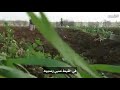من زمن فات في الغيط صبي وصبيه من زمن فات في الغيط صبي وصبيه
