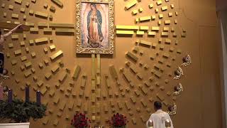 Fiesta de la Inmaculada Concepión 2021