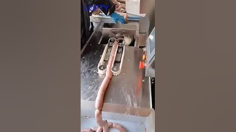 Single Line/Double Line Sausage Linker Machine  #saucefillingmachine  #factory