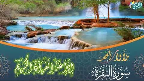 أروع وأجمل وأحلى قرآن فجر للقارئ عبدالناصر حرك 19 10 2020 رائعة البقره