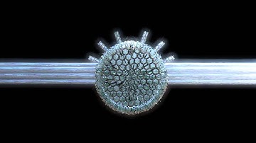 TsG Intro By TSG Dzeee = HDx KrOniKzZ