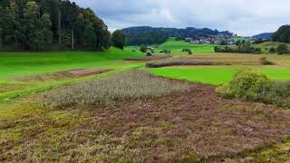 Flight Over The Moorland Of Littenheid Thurgau Switzerland In 2025
