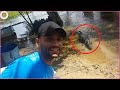 5 Crocodile Encounters Will Make You Avoid The Water