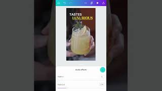 Audio essentials on mobile   Canva