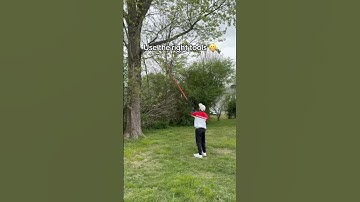 Can a tree prunning tool cut a big branch? #amazing #sharp #safety