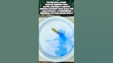 Amazing Leaf and ink boat Science Experiment |Science behind it| Scientific Riya