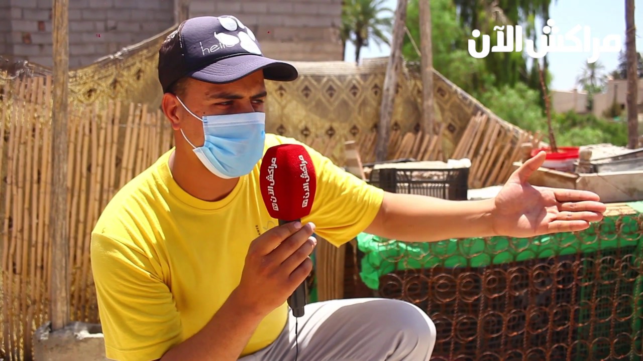 ساكنة قبور الشو بمراكش تستغيث: 