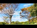ASMR | 睡眠 | お昼寝用 秋の空と風の音 | 3時間 | environment sound