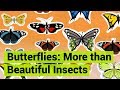 Butterflies: More than Beautiful Insects