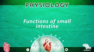 L3, Function of small intestine, physiology