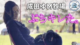 【夫婦キャンプ】キャンプの宴で妻の日頃の不満爆発！でも旦那はのらりくらりとかわします(笑)【成田ゆめ牧場】【犬連れキャンプ】