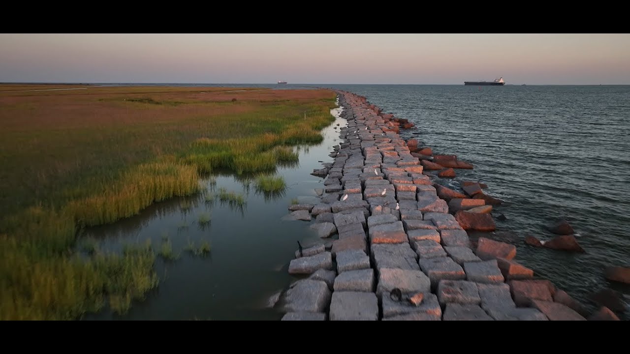 Houston Audubon - Save Bolivar Flats