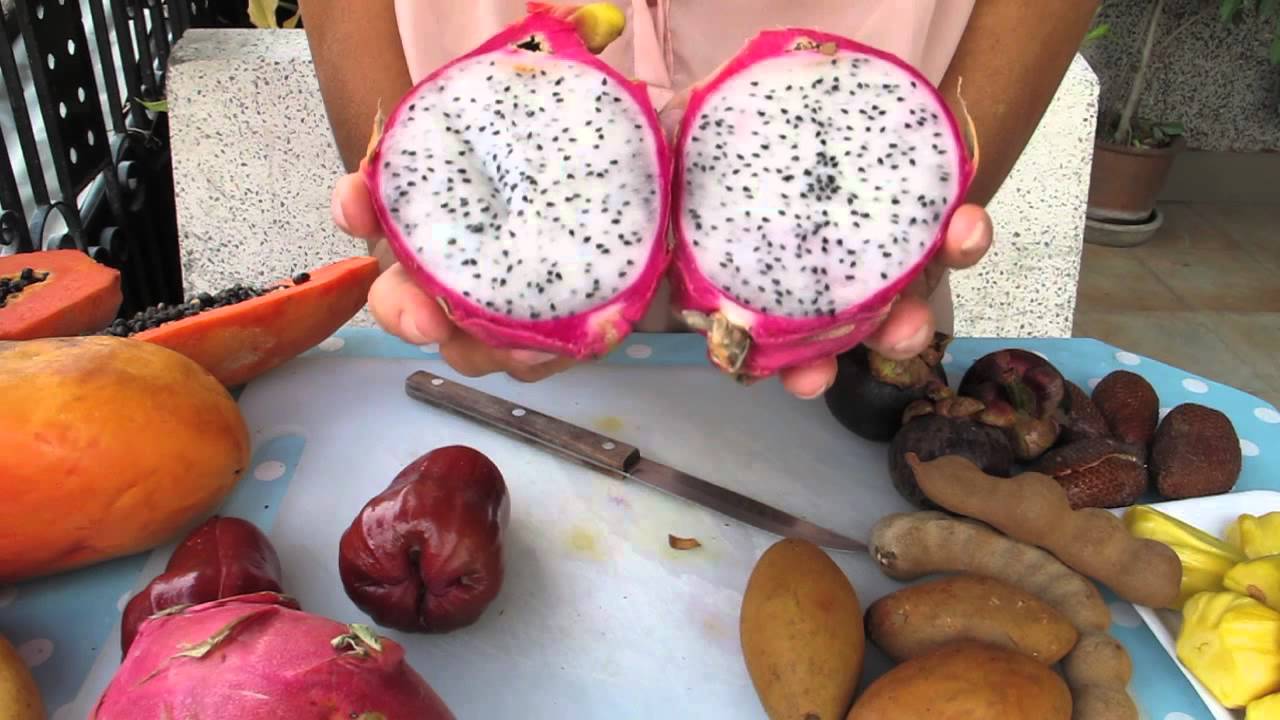 exotic fruits and how to eat them - youtube