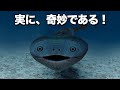 あなたが知らないサカバンバスピスの奇妙な生物学！(ft.魚類の進化)