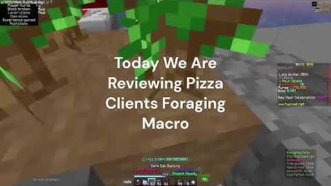 5M/HR FORAGING MACRO | Hypixel Skyblock