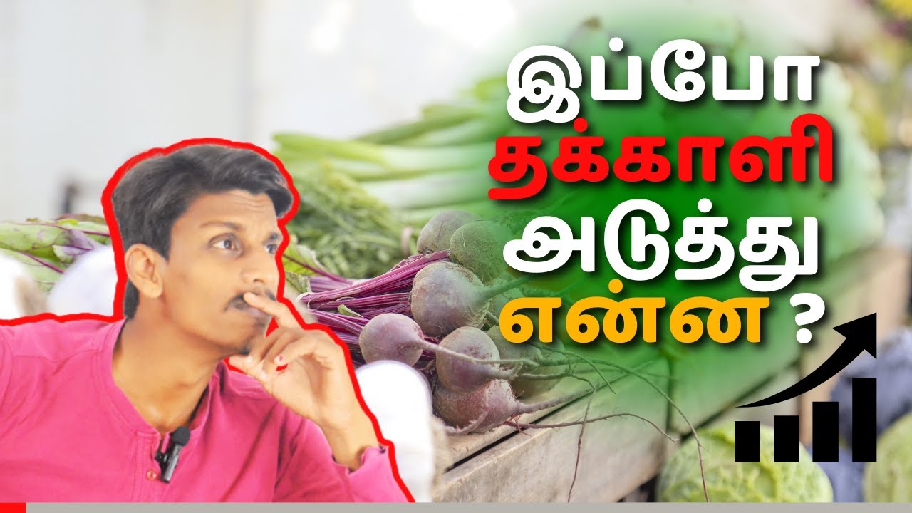 Tomato Price increase |Next which vegetable? | Diary of NS | Tamil