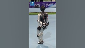 Robot gymnast wows crowd at World Humanoid Robot Games