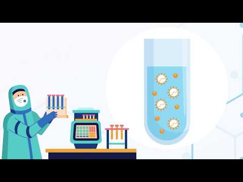 فيديو: ما هي مكونات PCR؟