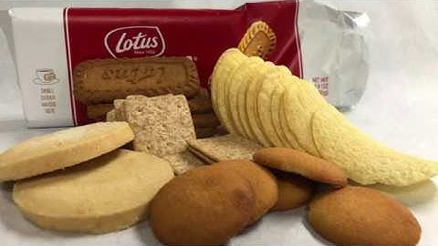 Lipid Extraction Technical Guide