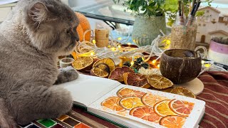 Why I Can't Stop Painting Oranges This Autumn (Olfactory Art Therapy)