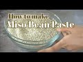 How to make miso bean paste/Miso/Bean Paste/Koji rice/Miso/미소된장/일본된장/일식된장/미소/코지/Japanese bean paste