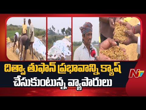 Kakinada: దిత్వా తుఫాన్ ప్రభావాన్ని క్యాష్ చేసుకుంటున్న వ్యాపారులు | Cyclone Ditwah | NTV Telugu - NTVTELUGU