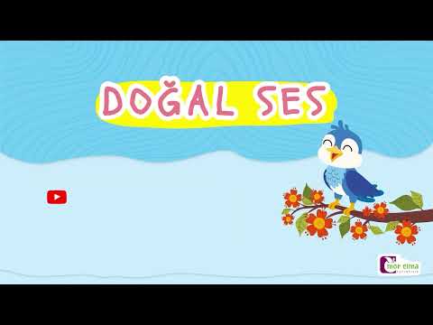 Doğal Ses - Eğitici Video - Okul Öncesi Eğitim