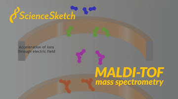 ScienceSketch MALDI-TOF Mass Spectrometry