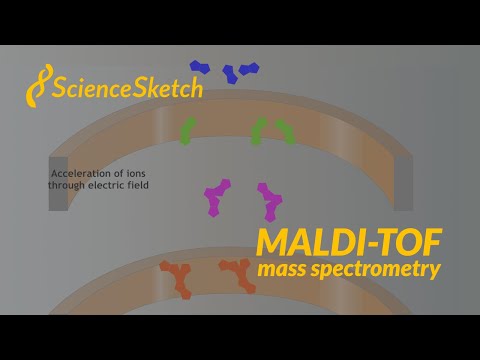 ScienceSketch MALDI-TOF Mass Spectrometry