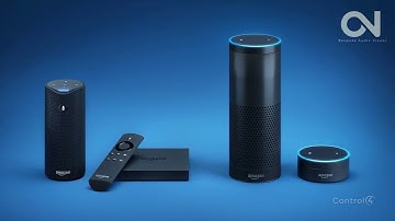 Control4 Voice Control Bespoke Audio Visual