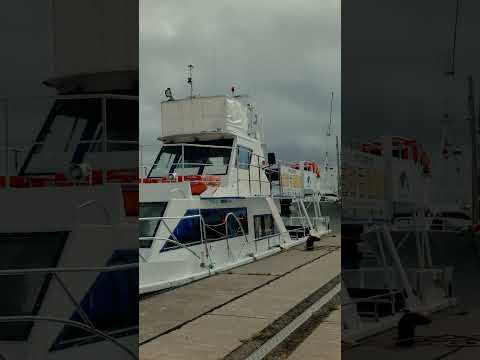 【知床の秘境へ】クルーザーで行く感動の船旅 🚢#知床#クルーズ#秘境#北海道#旅行好きと繋がりたい#自然満喫#感動体験
