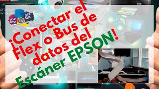 Conectar el Flex o Bus de datos del Escáner a la Tarjeta Lógica Epson