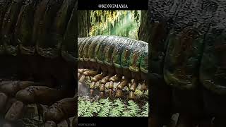 When Millipedes Were Giants: Life in the Carboniferous Rainforest #extinctanimals #deeptime