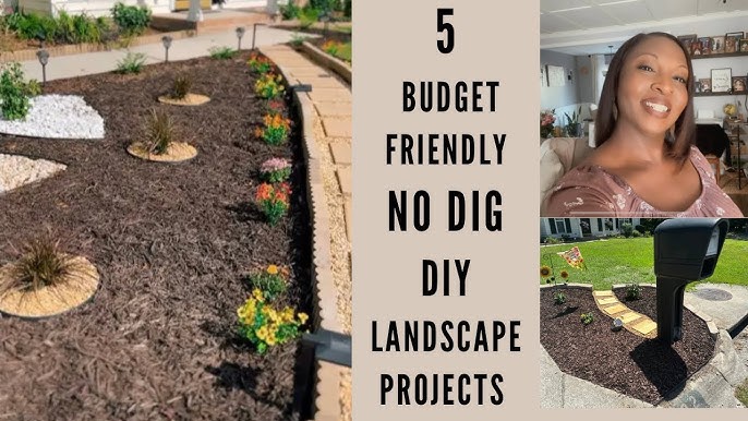 Budget Friendly DIY Projects: Transform Your Home on a Dime