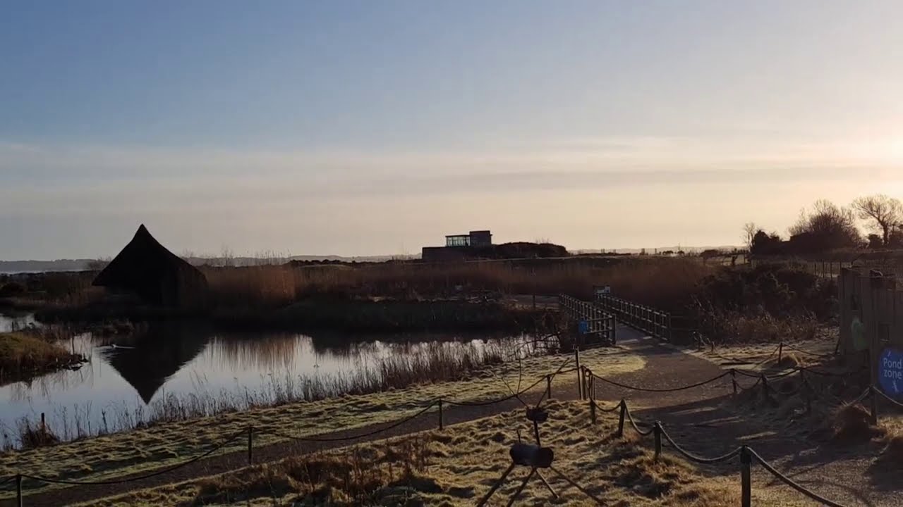 WWT Castle Espie | Wetland Wellbeing