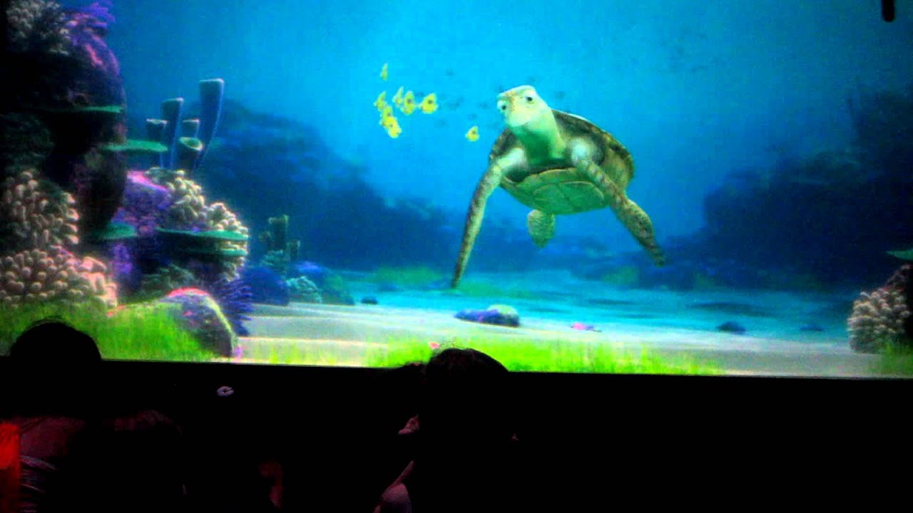 Funniest Turtle Talk With Crush Ever YouTube