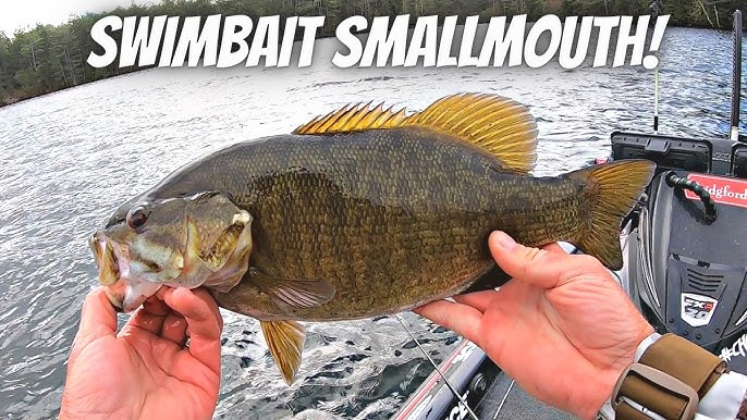 Best Lures for Prespawn Smallmouth Bass