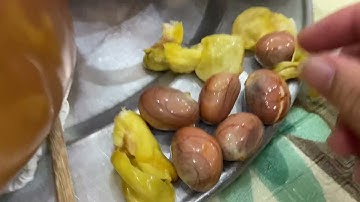 Cách phân biệt hạt mít đực hạt mít cái