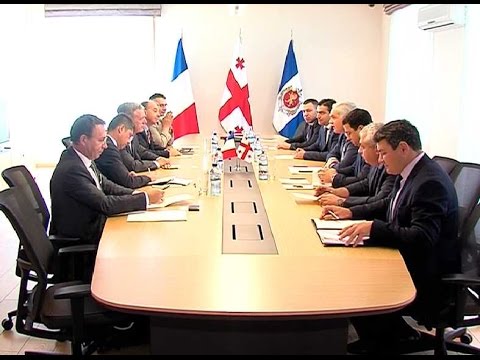 შს მინისტრი საფრანგეთის პოლიციის წარმომადგენლებს შეხვდა