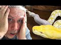 MY 19 FOOT SNAKE IS STUCK IN SHED!! NOW WHAT?? | BRIAN BARCZYK