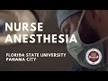 Nurse Anesthesia | Florida State University Panama City